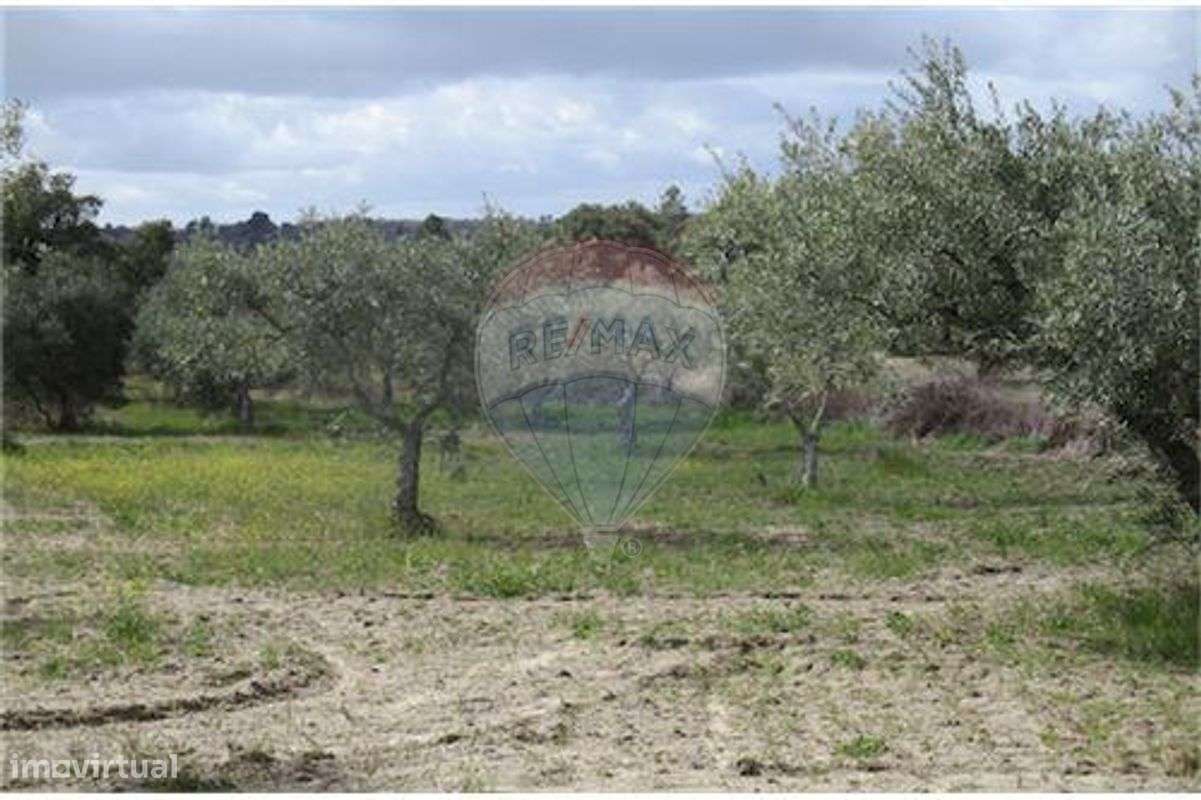 Quinta T0 para venda - Grande imagem: 2/28