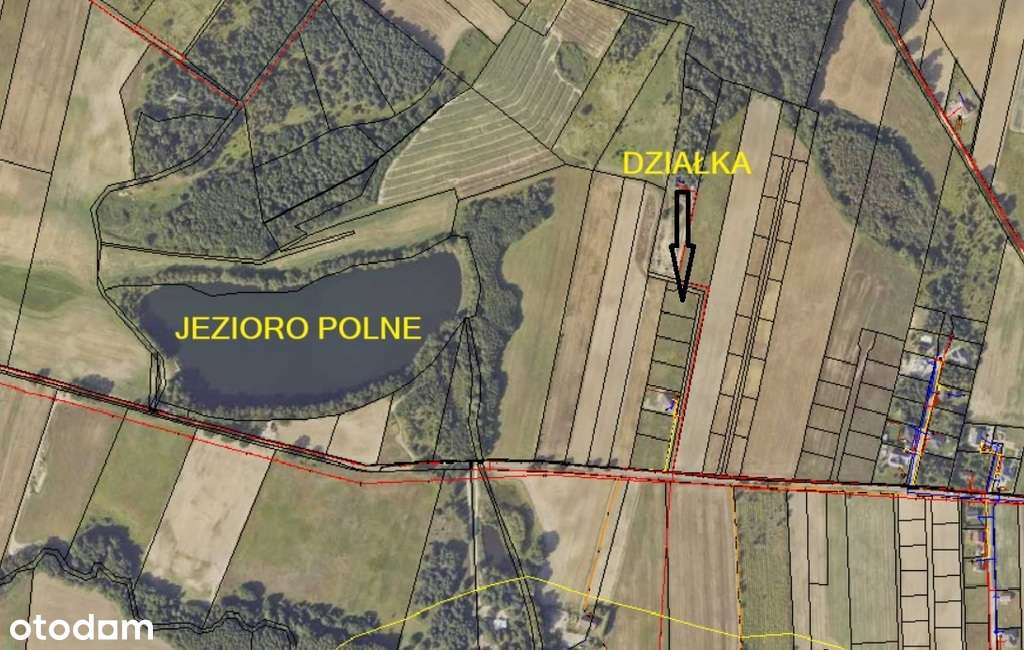 Działka w Kłodawie blisko Jez. Polnego - Pełny obrazek: 3/5
