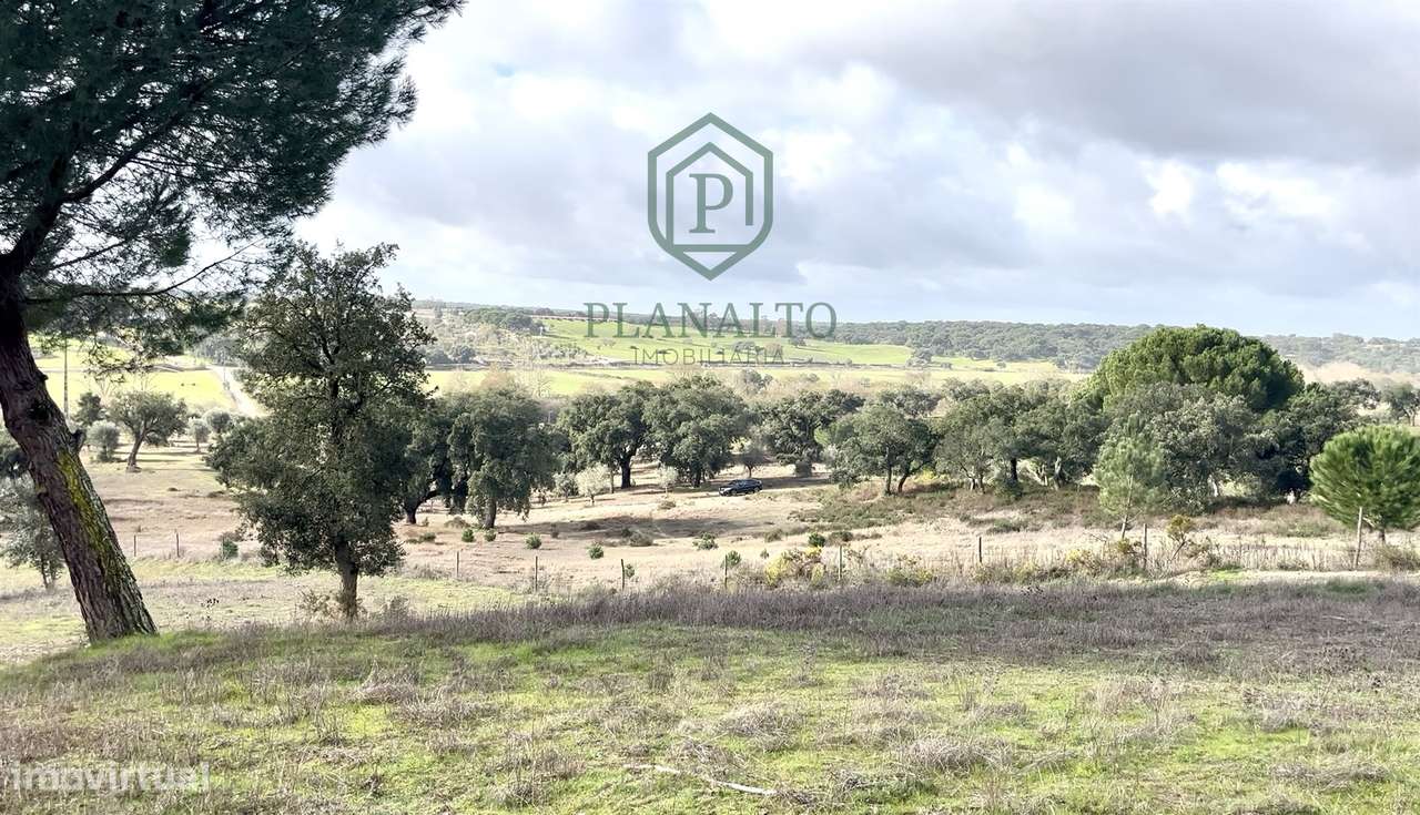 Quinta >=T10 Venda em Cortiçadas de Lavre e Lavre,Montemor-o-Novo - Grande imagem: 3/60