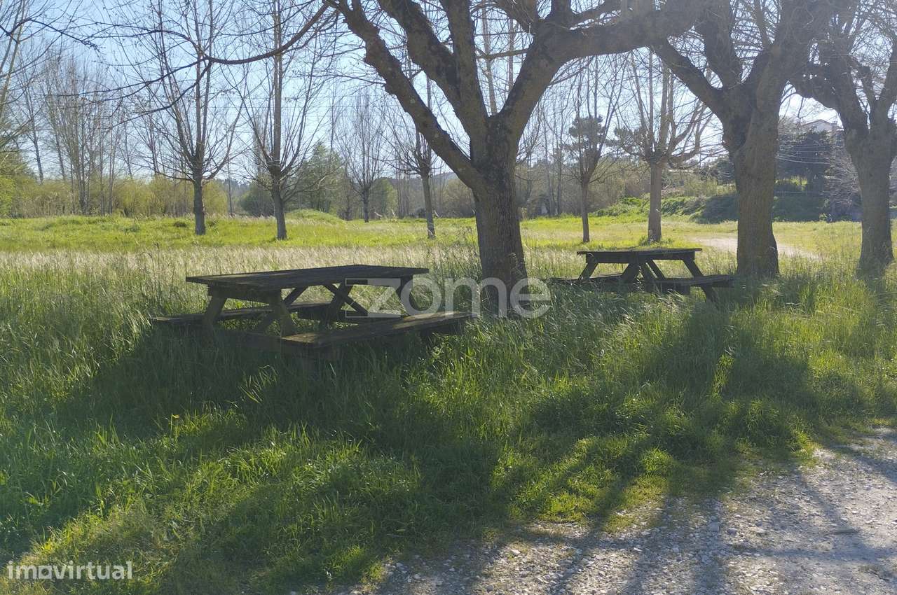 Terreno Rústico Leirão-1