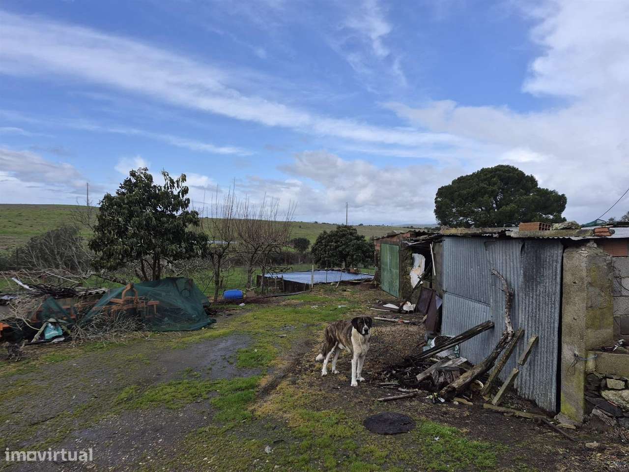 Quinta - Grande imagem: 3/9