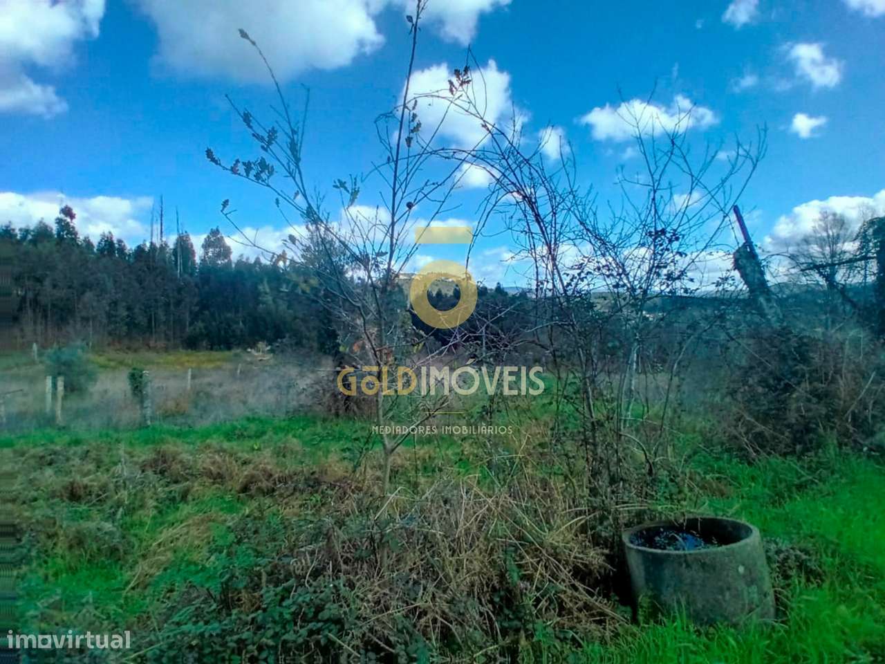 Quintinha T3 Venda em Santa Maria de Sardoura,Castelo de Paiva - Grande imagem: 5/26