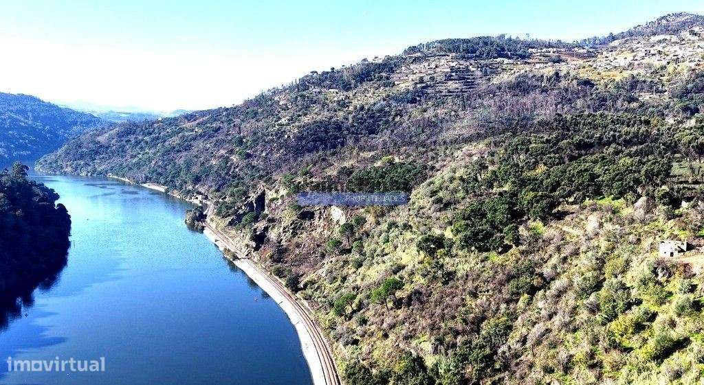Quinta mini e Ruína, ampla vista rio Douro. Portugal, Norte, Porto,...-6