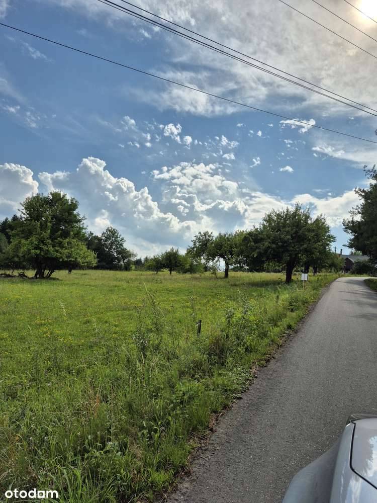 Działka, 4 000 m², Stare Rybie - Pełny obrazek: 1/5