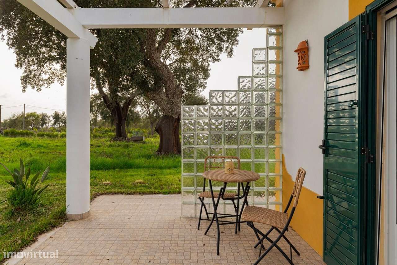 Monte Alentejano de Charme com 4 quartos | 1,3 ha | Litoral Alentejano-11