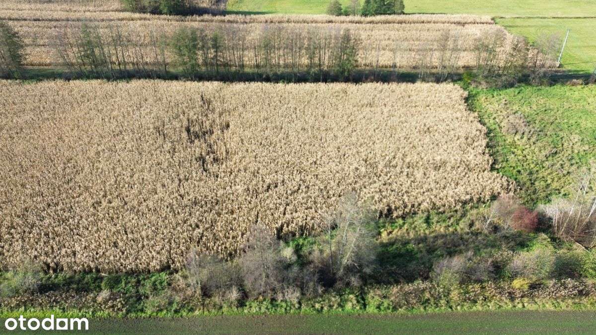 3195m2*3058m2*12minut do Torunia - Pełny obrazek: 5/16