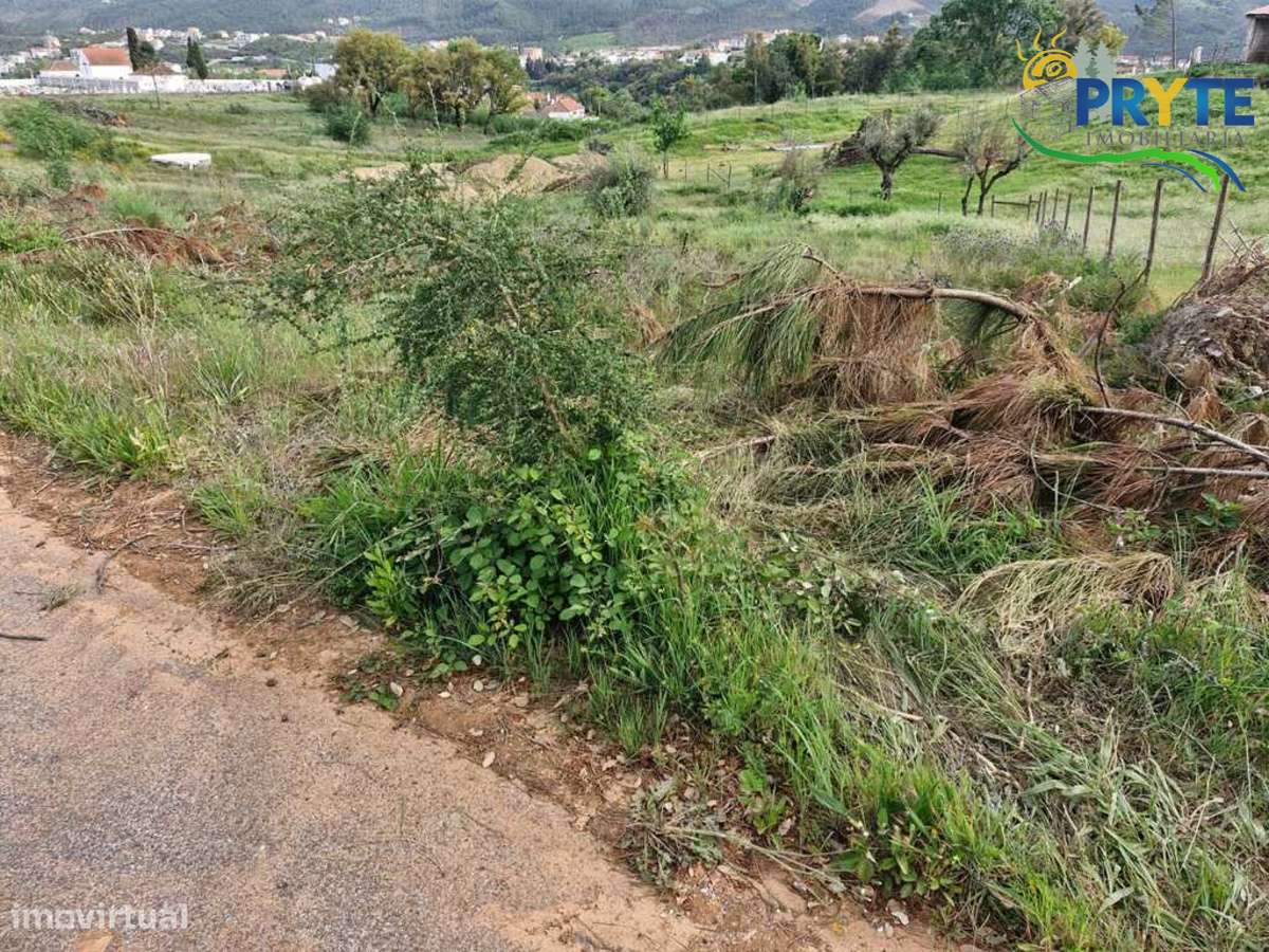 Terreno Para Construção situado na Vila da Sertã-1