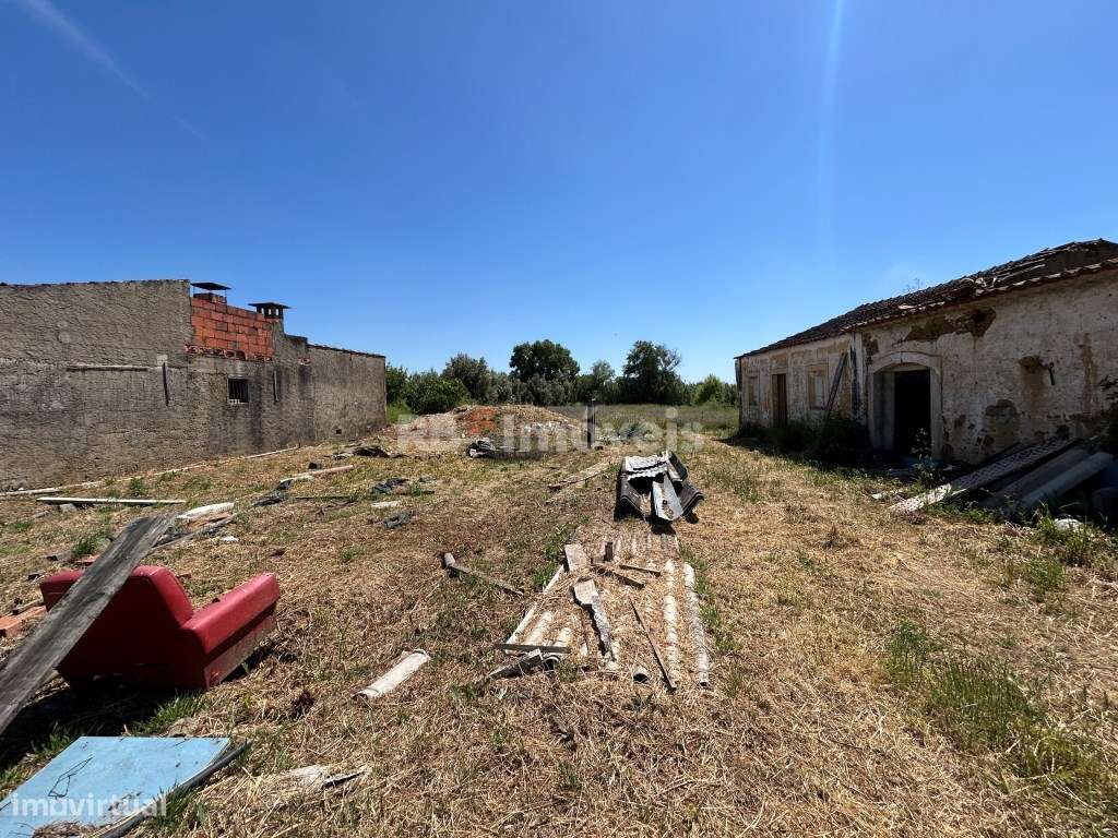 Terreno com Ruína - Bairrada, Tomar - Grande imagem: 5/7