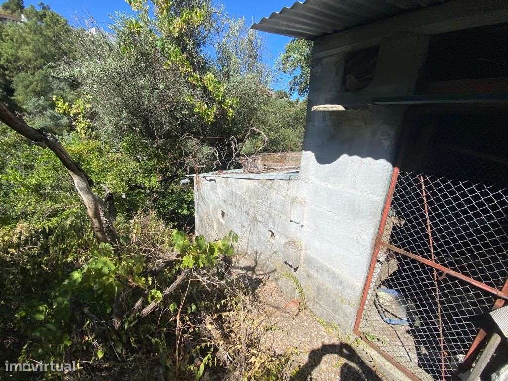 Quintinha - Grande imagem: 5/17