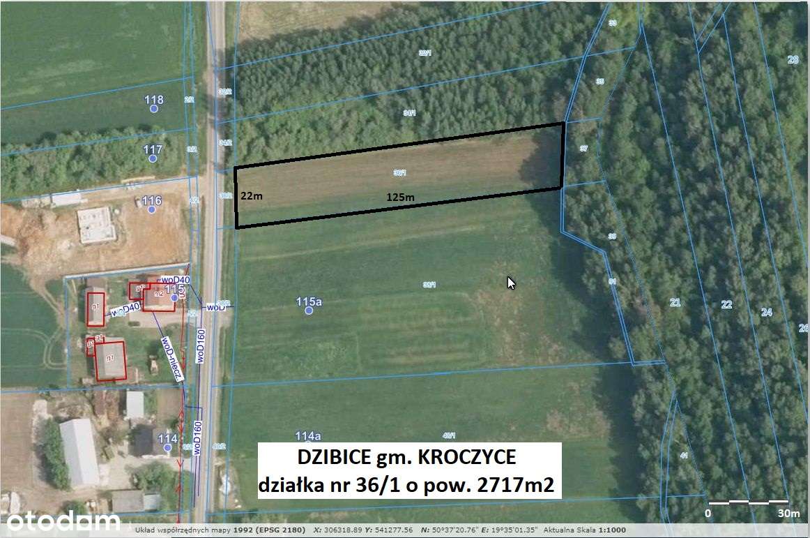 Jura tania działka 2717m2 przy asfalcie cena tylko 72.900 zł - Pełny obrazek: 3/17