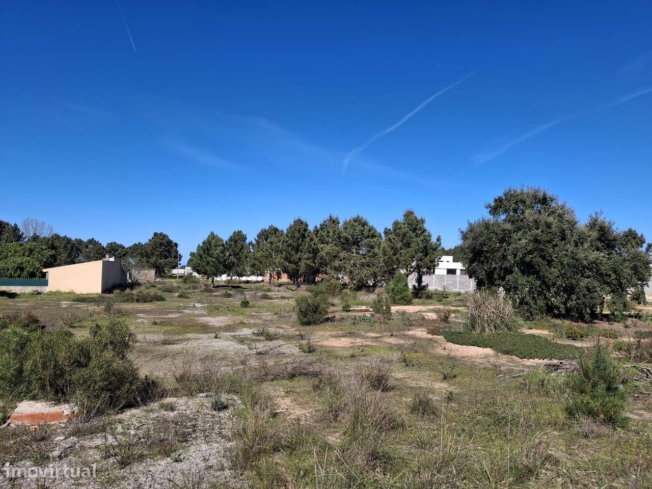 Terreno Urbano 2360m² Quinta do Anjo - Rua Rosa Branca - Grande imagem: 5/8