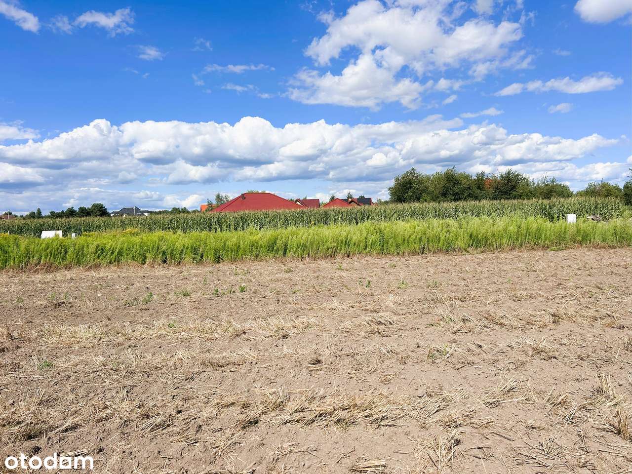Działka budowlana 10 arów - Nieciszów - Pełny obrazek: 1/2