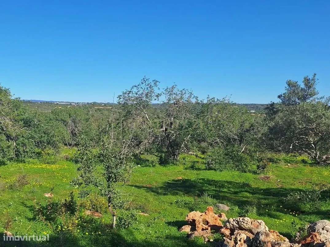 Terreno Rústico no Cerro da Cabeça - Grande imagem: 3/12