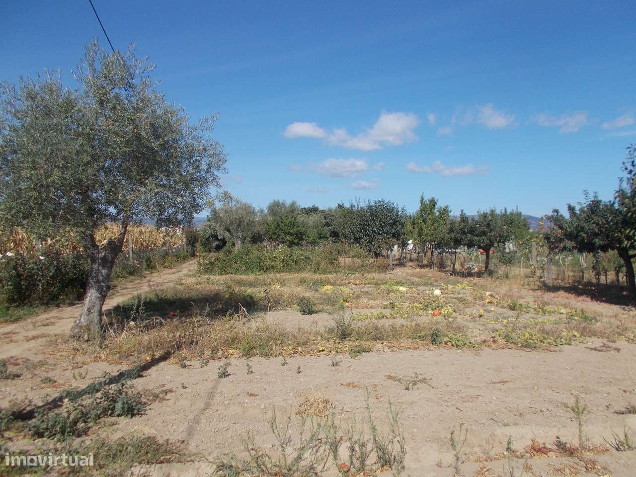Terreno e Armazém em Chaves-9