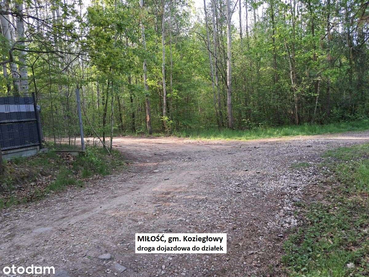 Miłość działka dla ukochanej :-) 3001m2 cena tylko 29.900zł-14
