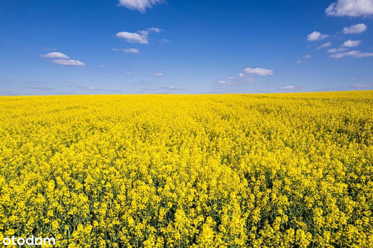 Zielone Osiedle blisko Wrocławia!-6