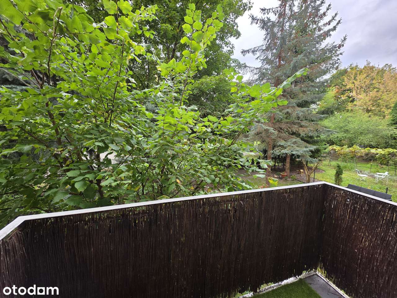 Przestronne 4-pok, Winogrady,-11