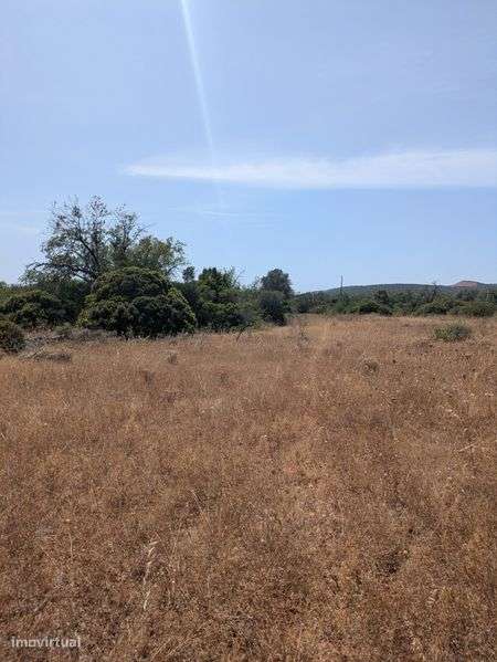 Terreno rústico com electricidade - Grande imagem: 5/6