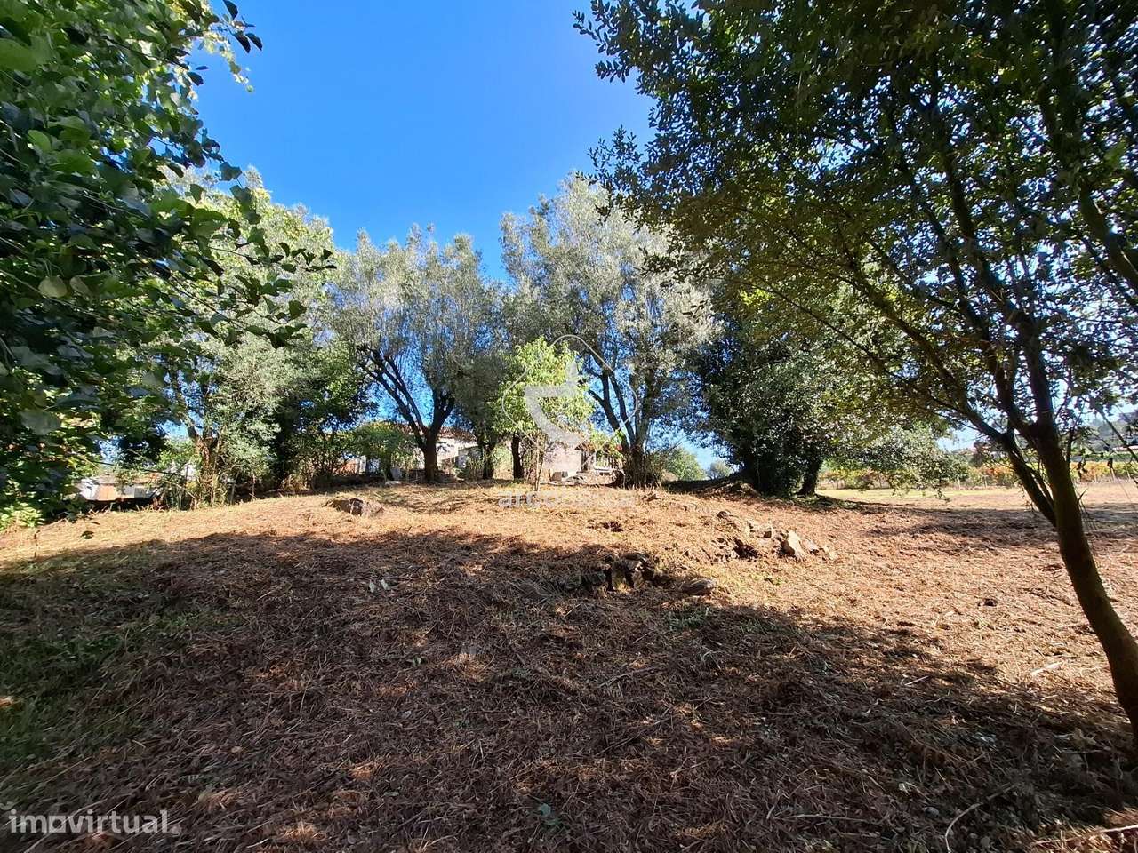 Quinta p/ restaurar com 6.200m2 - Ribeira/Ponte de Lima-45