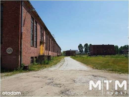 Działka, 20 145 m², Strzegom-8