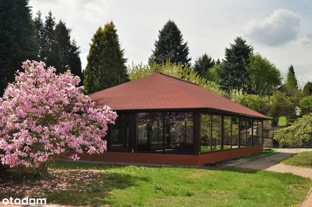 Przestronny dom 530 m² z basenem - Pełny obrazek: 5/6