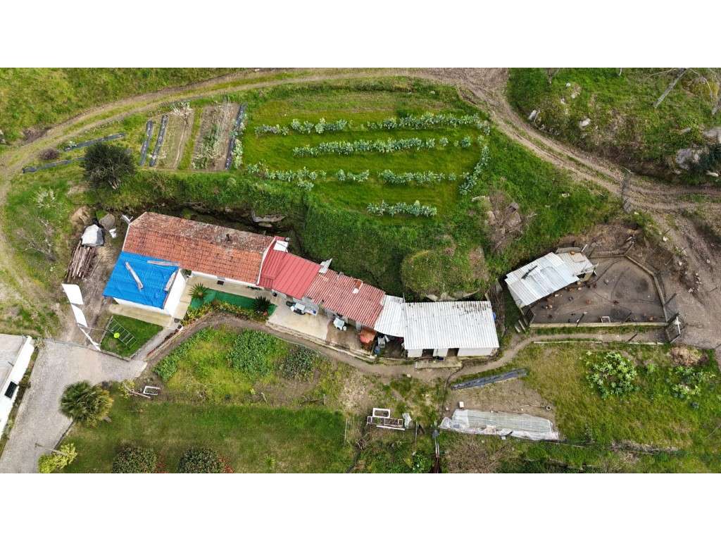 Quinta com 20.000 m² para Venda - Penacova-23