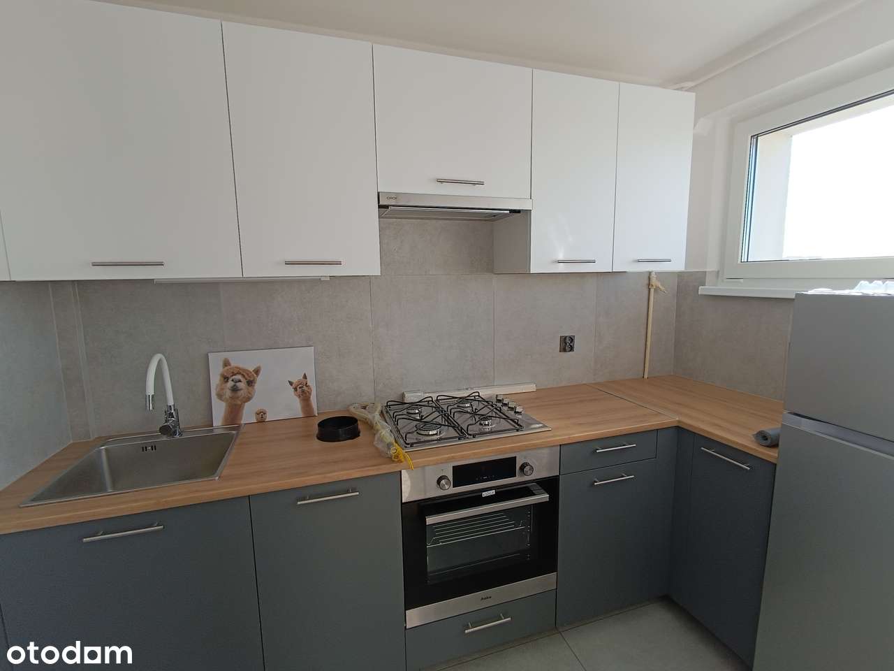 Świeżo po remoncie 1-pokojowe z windą z widokiem na park