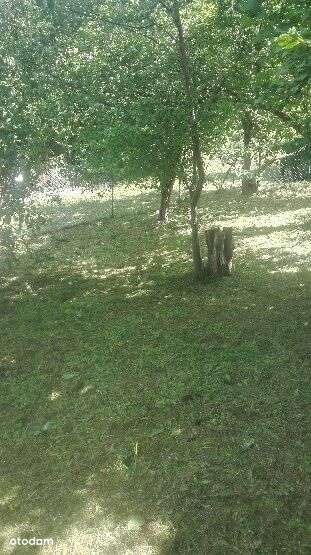 Działka ogrodnicza-2