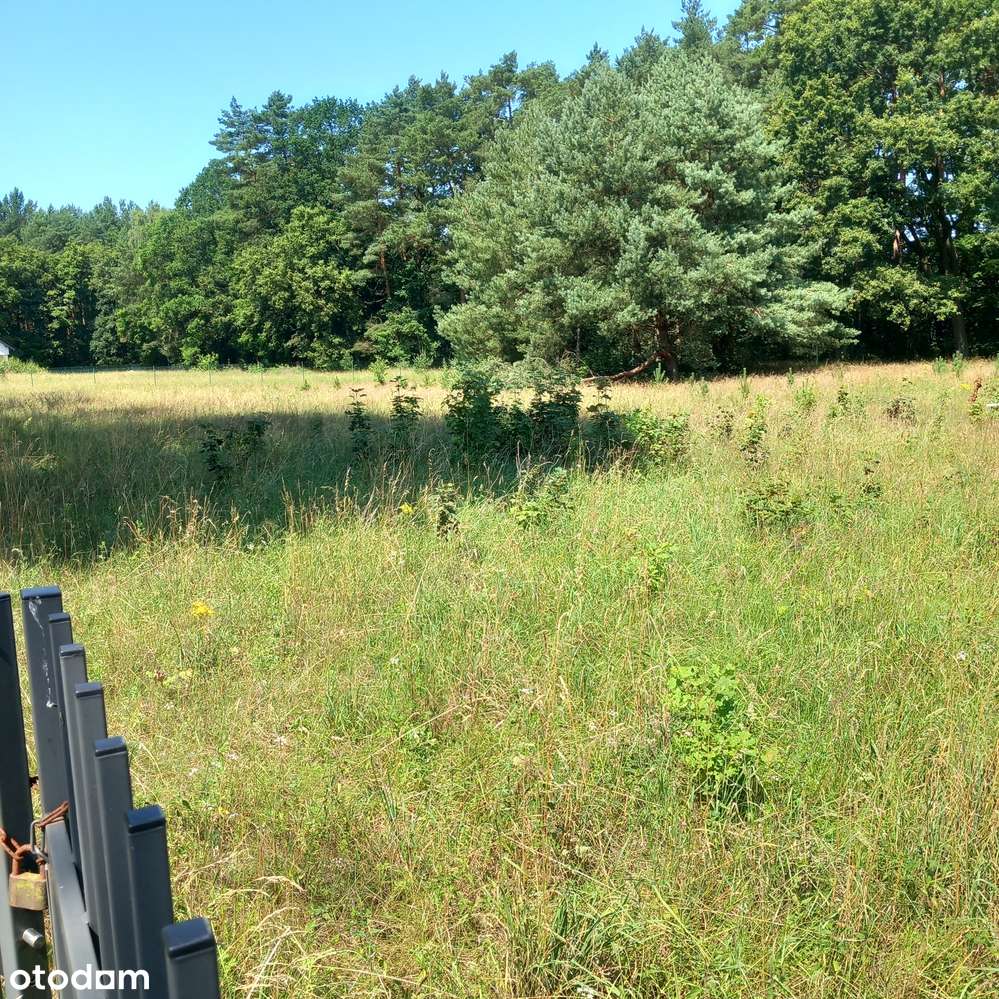 Małe budowlane przy lesie, mediach, asfaltowej drodze i szumie rzeczki-4