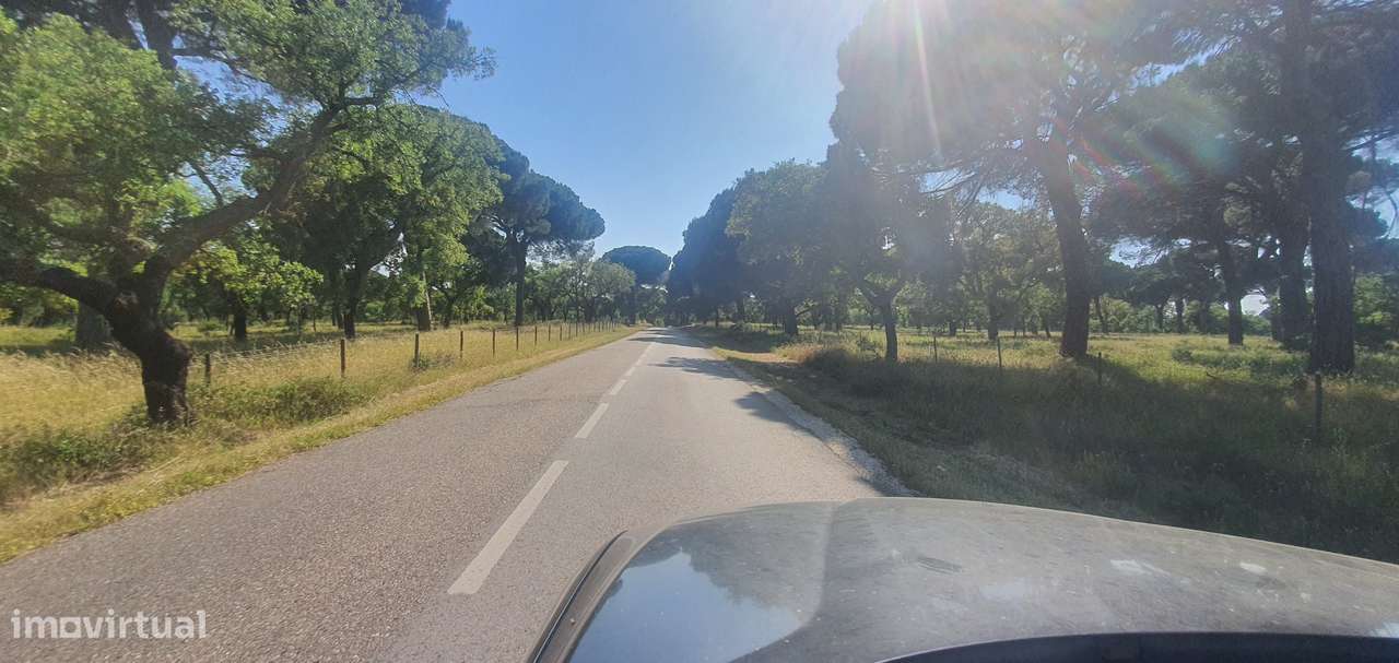 IMPERDÍVEL  Quinta em Foros do Carrapatal, Canha Montijo 51.000m2-20