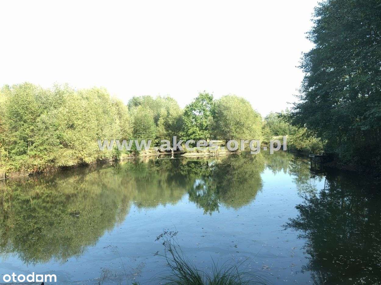 Bliskie okolice Grodziska Maz. działka budowlana - Pełny obrazek: 5/5