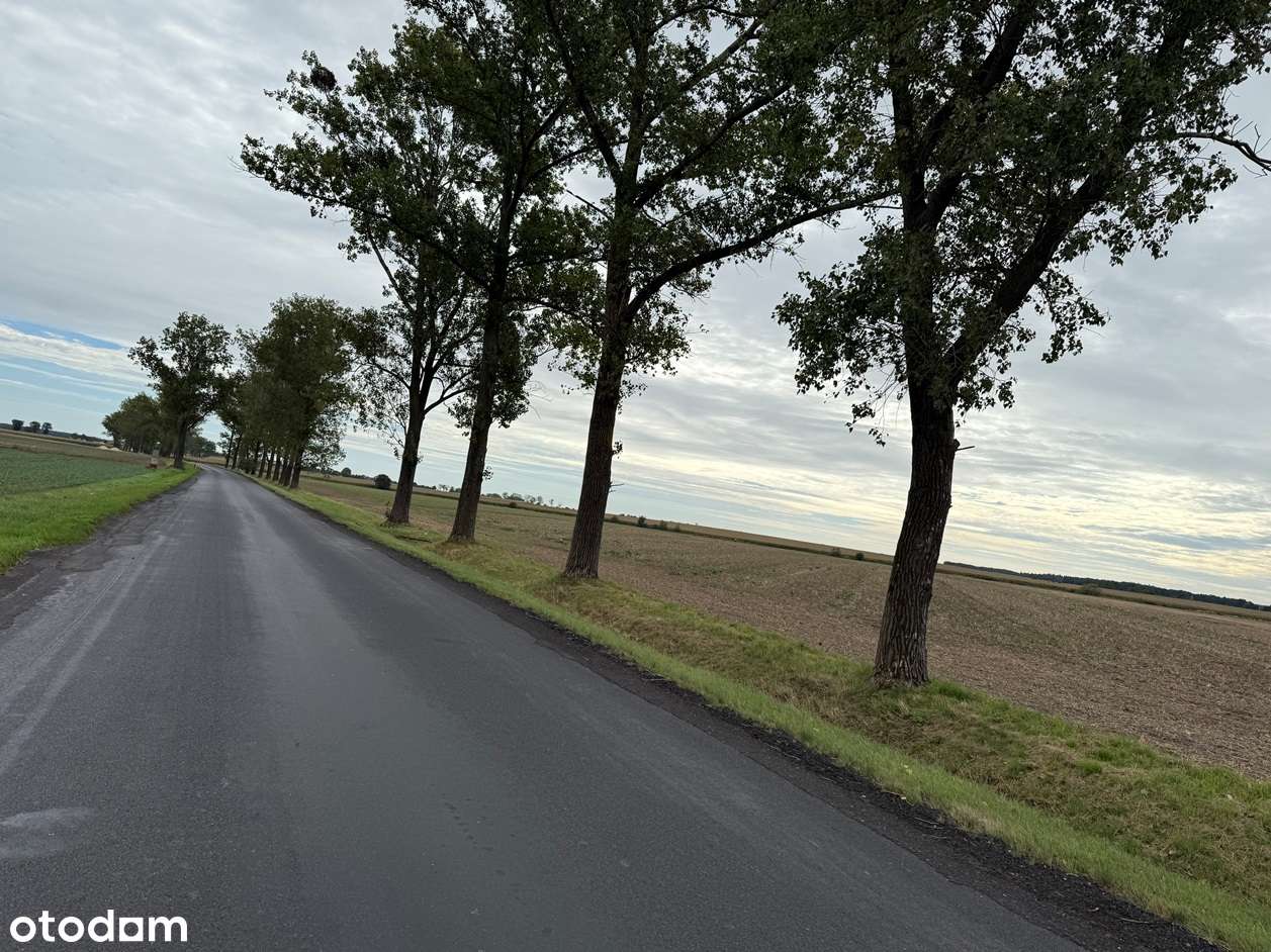 Działka w Korfantowie-4