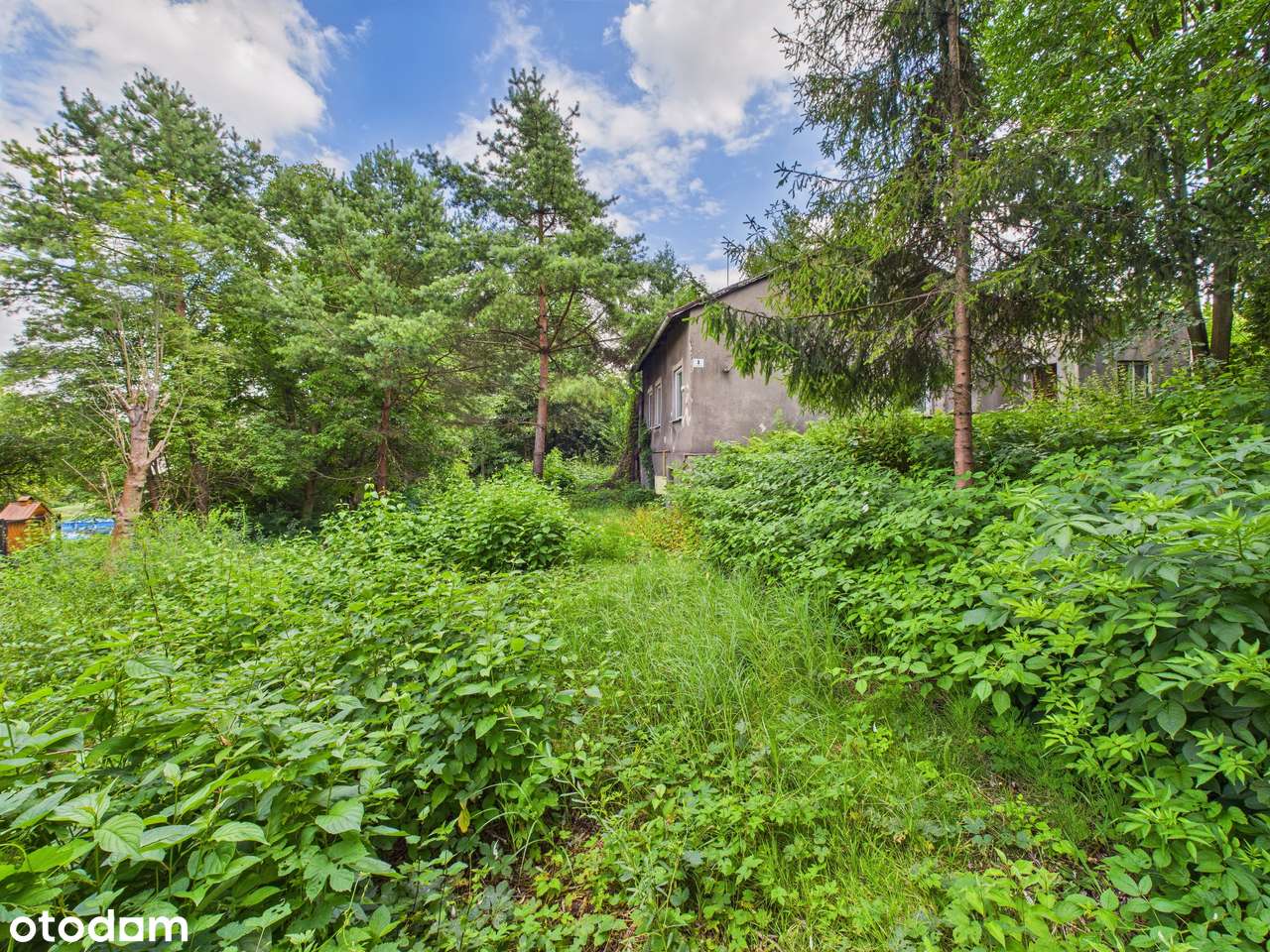 Zielona Działka z Własnym Źródłem i Stawem w Świetnej Lokalizacji!-18