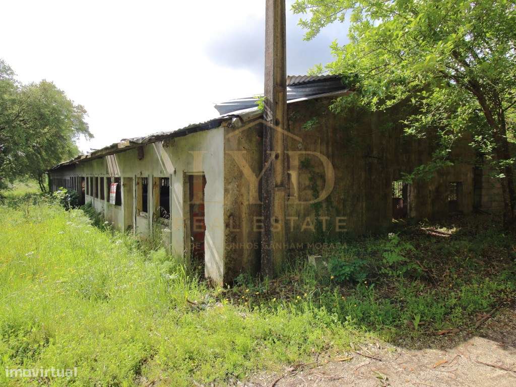 Armazém para venda em Amoreira da Gândara, Anadia | Antigos aviário...-10