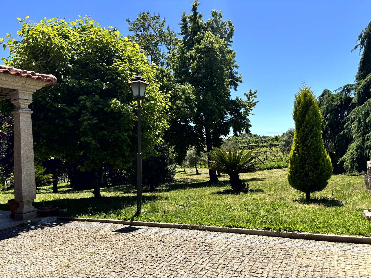 Belíssima Quinta T5 com produção ativa de Vinhas-8