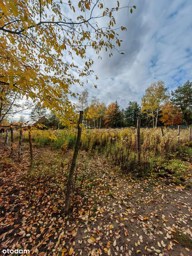 Przepiękna działka budowlana Jabłonna - Pełny obrazek: 4/6