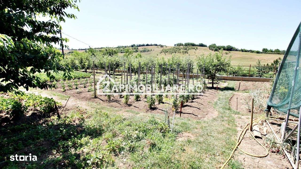 Teren intravilan 1.300 mp.zona Belvedere Targu Mures - Imagine principală: 1/13