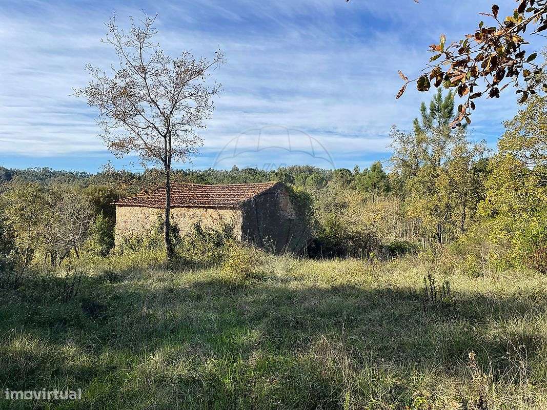 Moradia T1 para venda - Grande imagem: 5/15