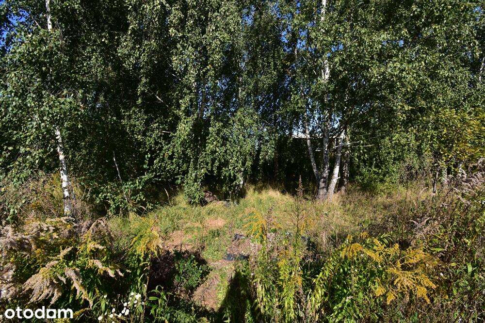 Działki budowlane Arkuszewo-8