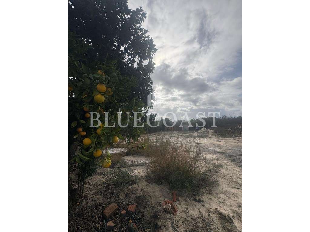 Excelente Terreno para construção 350m2 - Poceirão-24