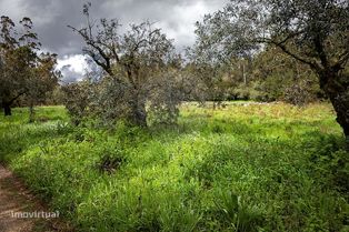 Terreno  para venda - Grande imagem: 4/13