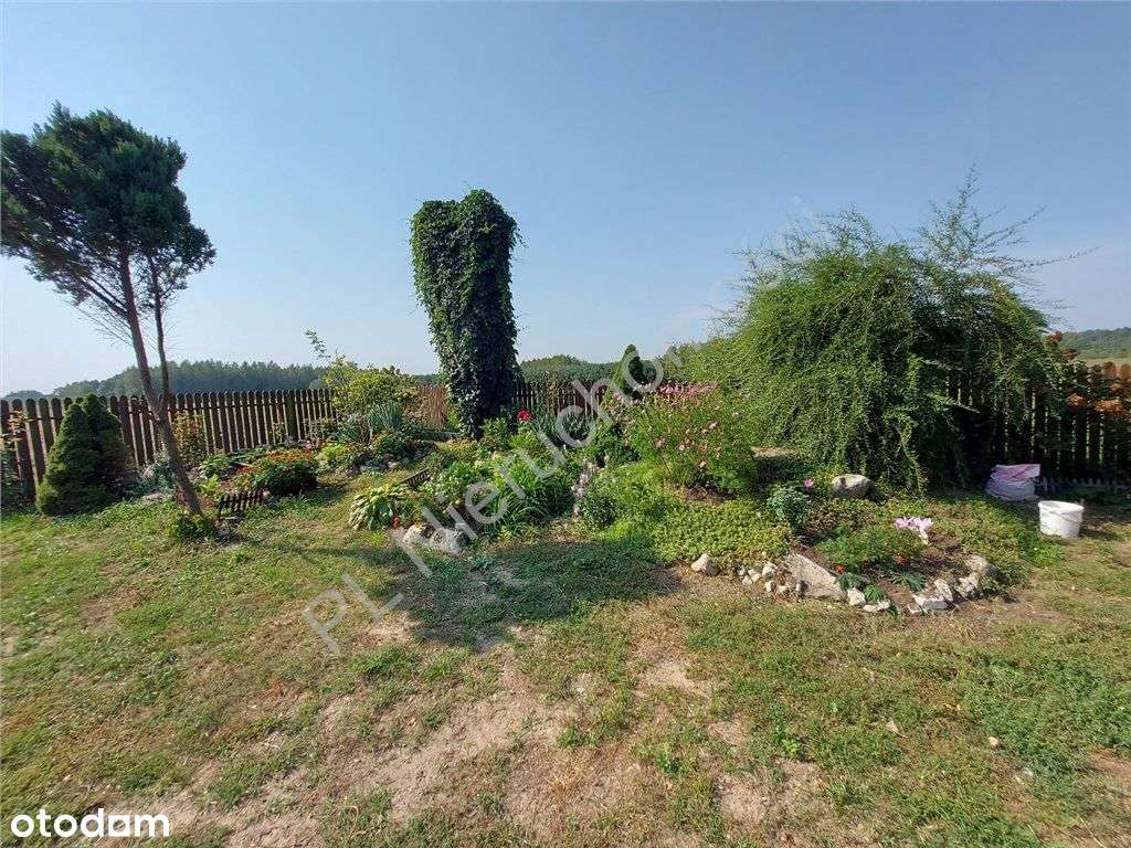 Siedlisko Jak Z Bajki, Miejskie Media, Komunikacja-12