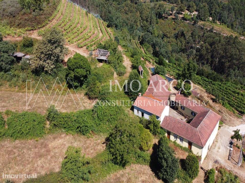 Vila Nune, CRUJEIRA-24