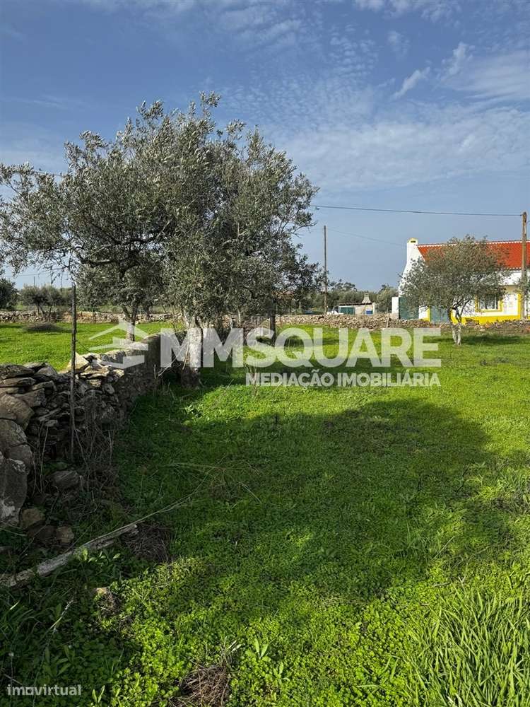 Quintinha T3 Venda em Ourique,Ourique-19