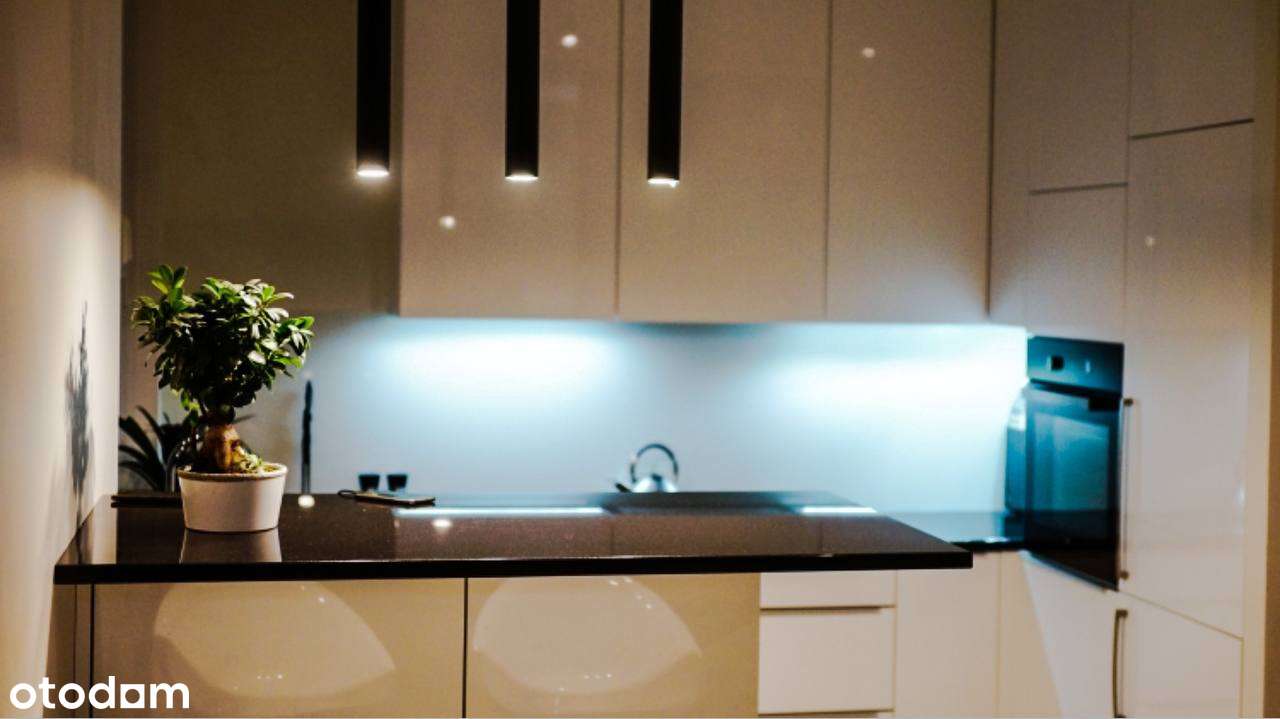 2-pokojowe mieszkanie w centrum do wynajęcia - Pełny obrazek: 4/8