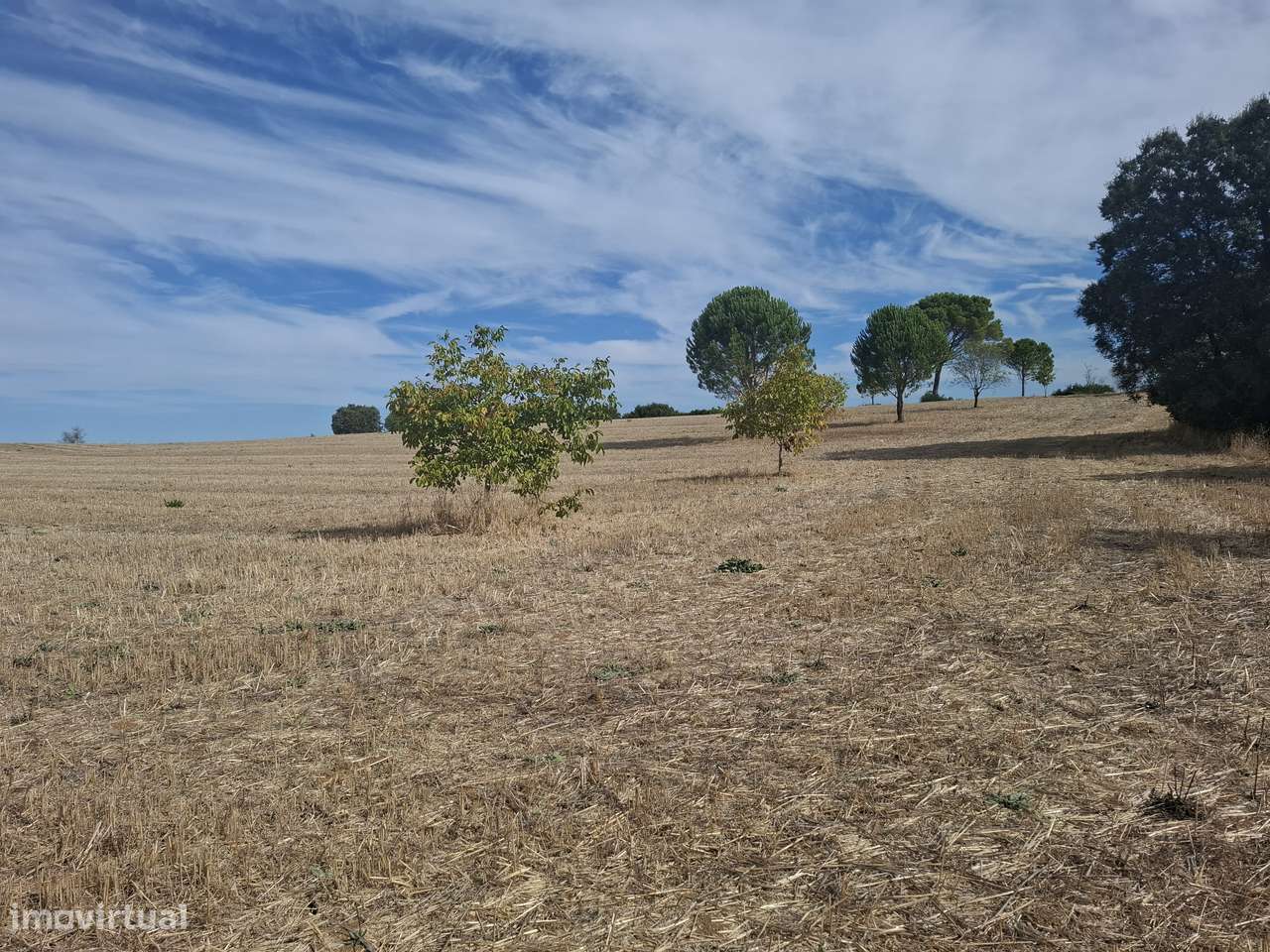 Terreno Rústico Cassanho - Grande imagem: 2/4