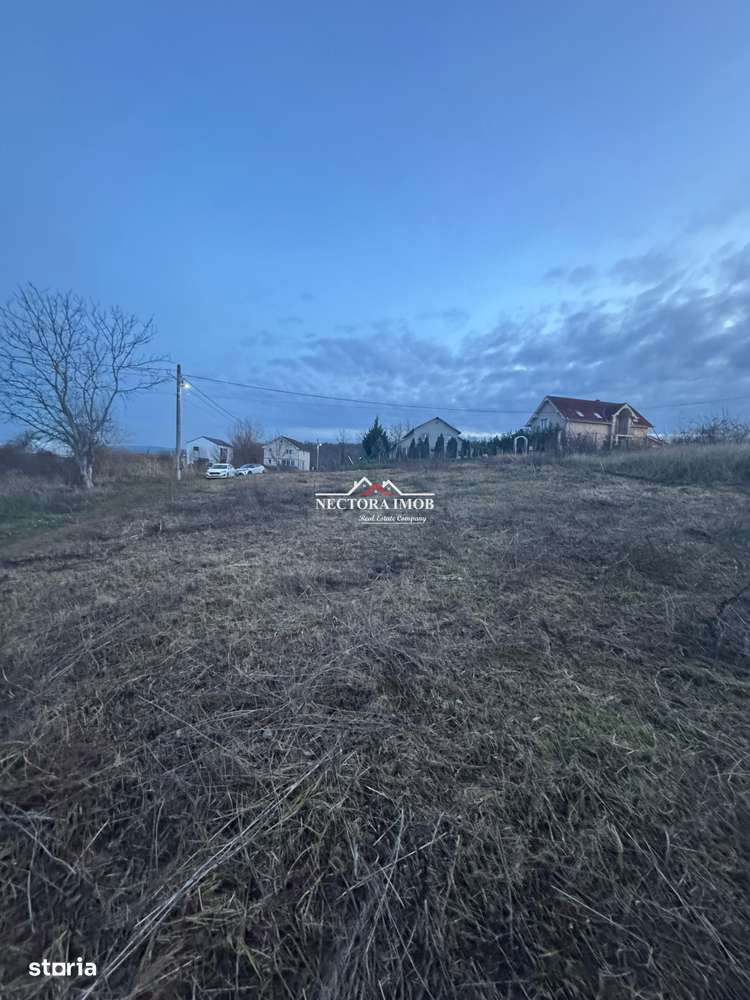 NECTORA IMOB-Teren Intravilan 647 mp, Dublu Front, Paleu, cu Utilitati - Imagine principală: 2/7