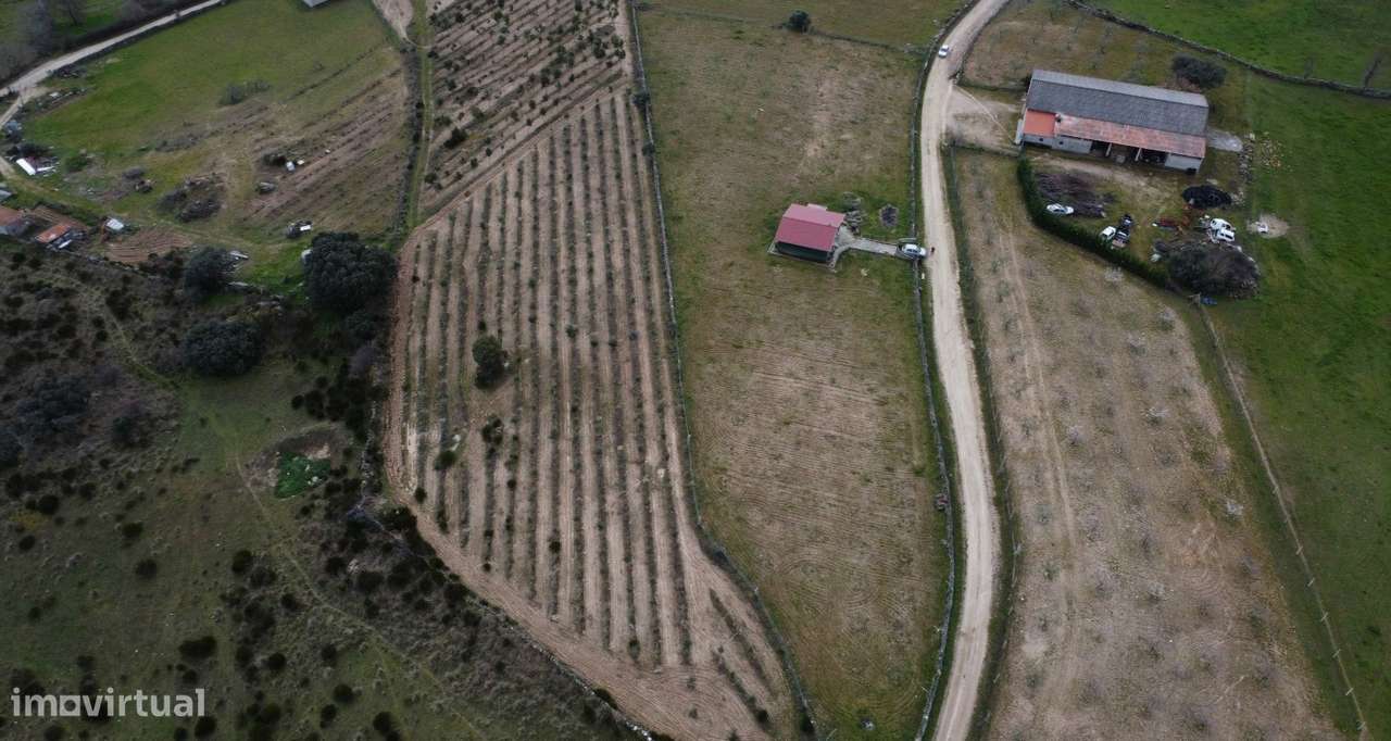 Terreno com arvores de fruto e uma construção, em Miranda do Douro. - Grande imagem: 4/35