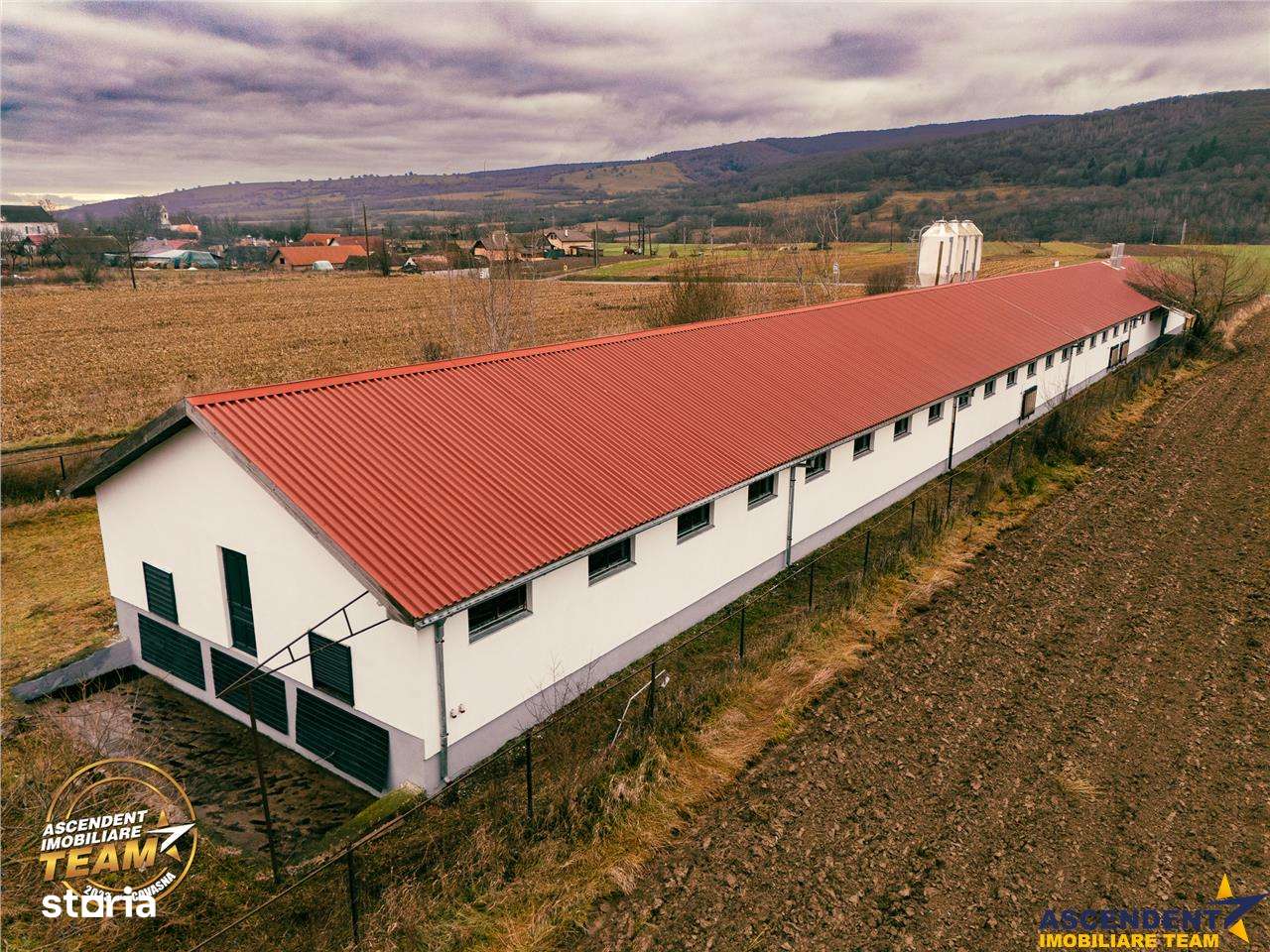 FILM! Ferma de iepuri,Malnas,Covasna: domeniu industrialcomercial,asse - Imagine principală: 3/20