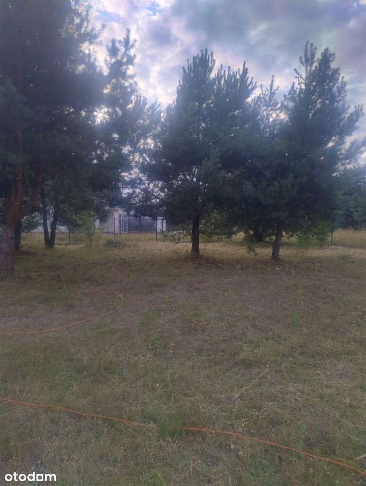 Piękna działka w Rakowni Gmina Murowana Goślina-11